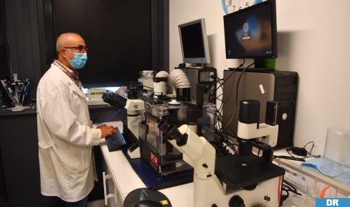 Dr-Hamraoui-508x300